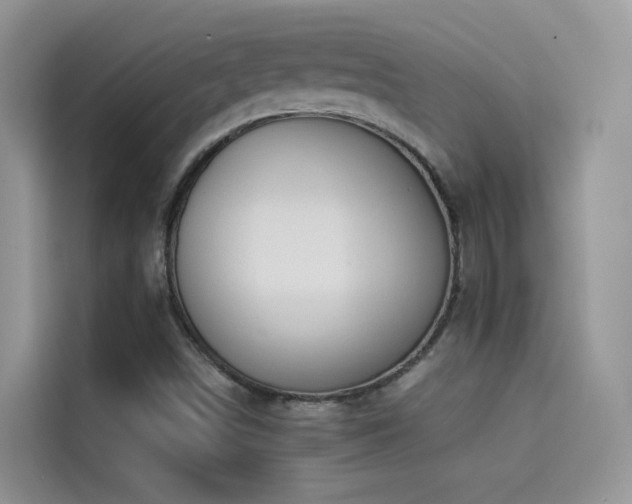 X0000114491498200910191220