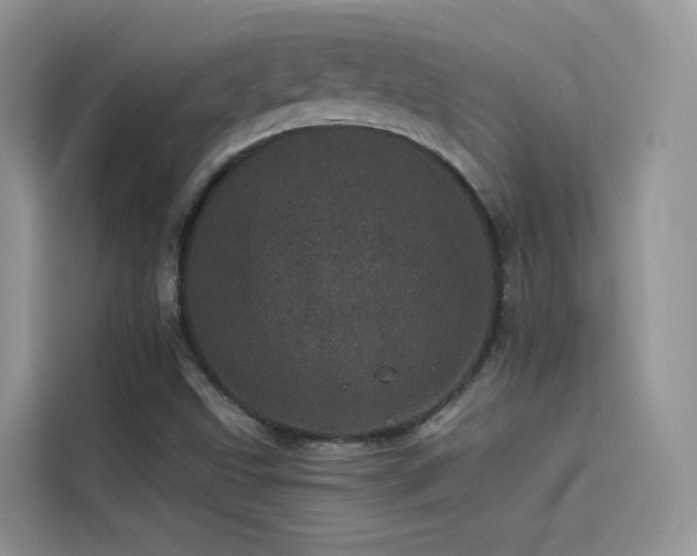 X0000114491499200910191220