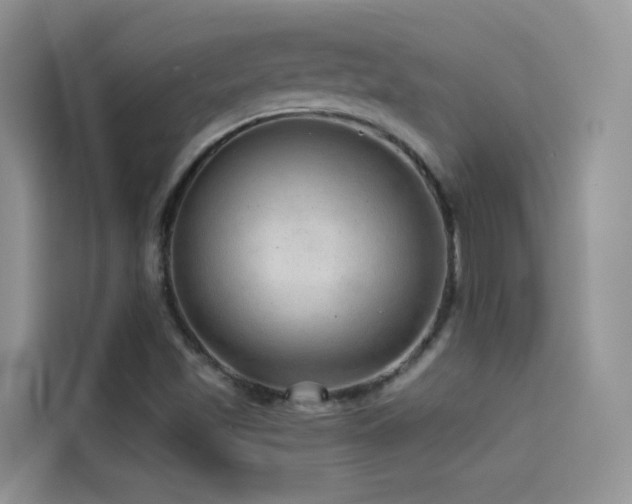 X0000114491501200910191220