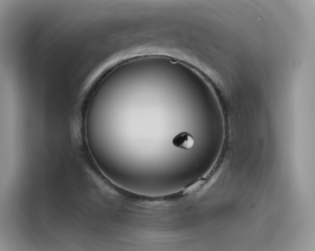 X0000114491502200910191220