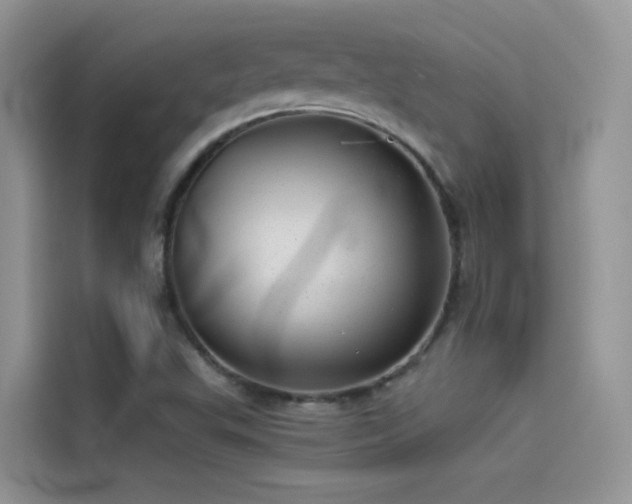 X0000114491503200910191220