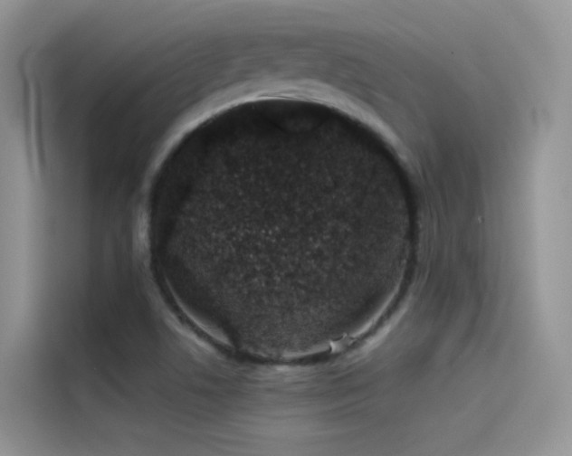 X0000114491506200910191220