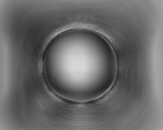 X0000114491507200910191220