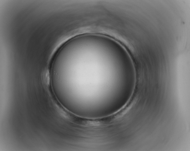 X0000114491509200910191220