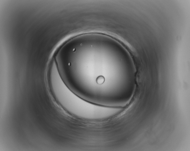 X0000114491510200910191220