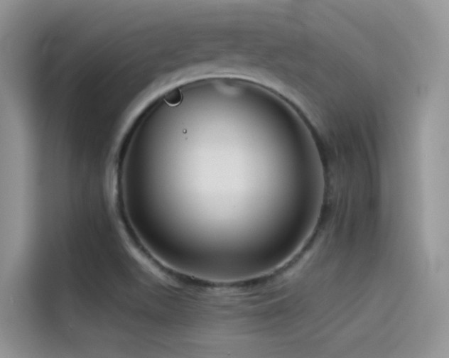 X0000114491511200910191220