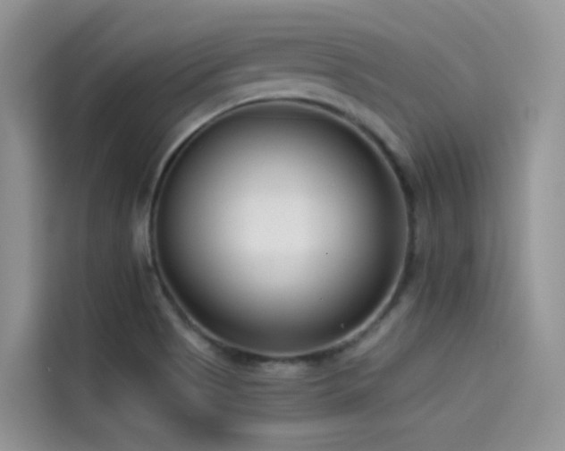 X0000114491513200910191220