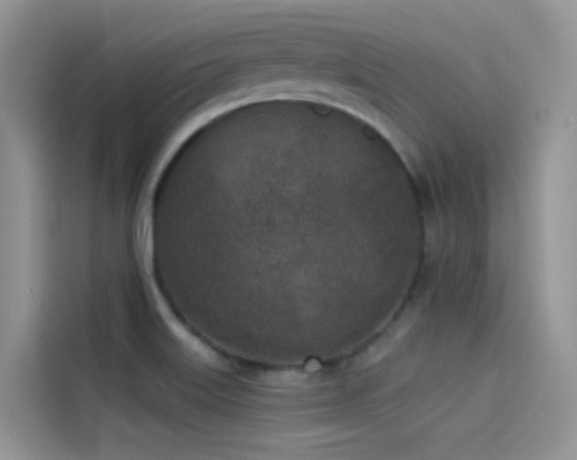 X0000114491515200910191220