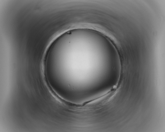 X0000114491517200910191220