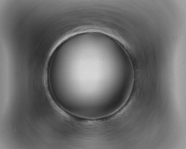 X0000114491518200910191220