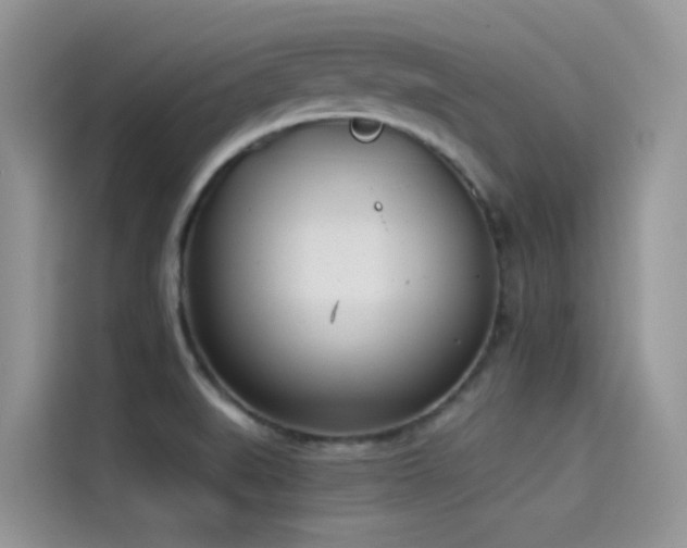 X0000114491519200910191220