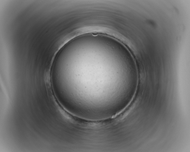 X0000114491521200910191220