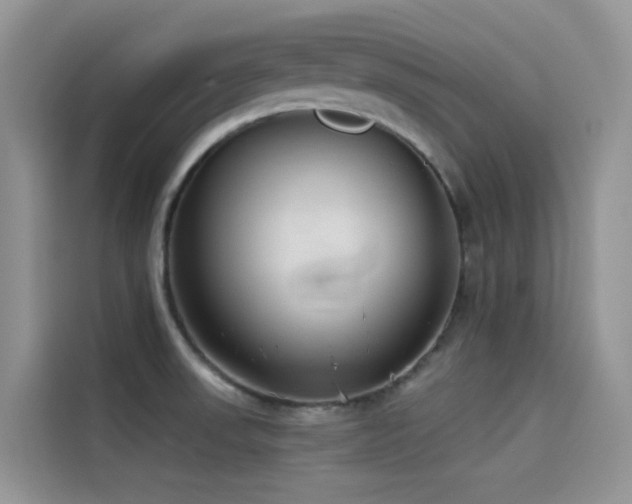 X0000114491523200910191221