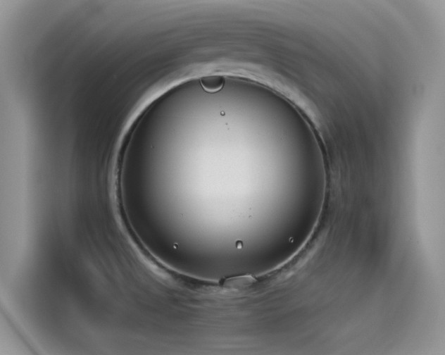 X0000114491525200910191221