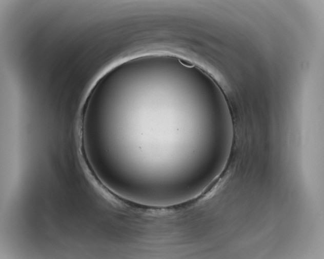 X0000114491526200910191221