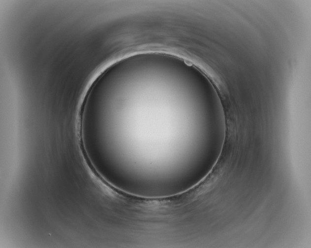 X0000114491527200910191221