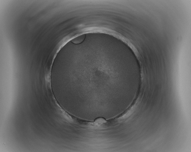 X0000114491529200910191221