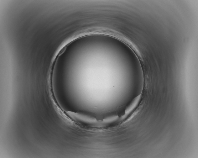 X0000114491530200910191221