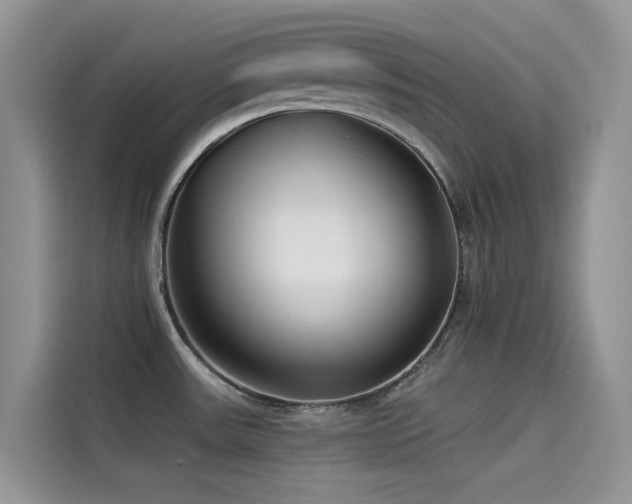 X0000114491531200910191221