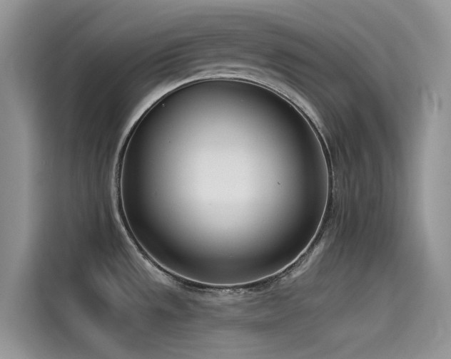 X0000114491533200910191221