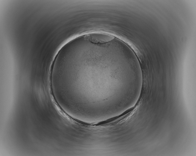 X0000114491534200910191221