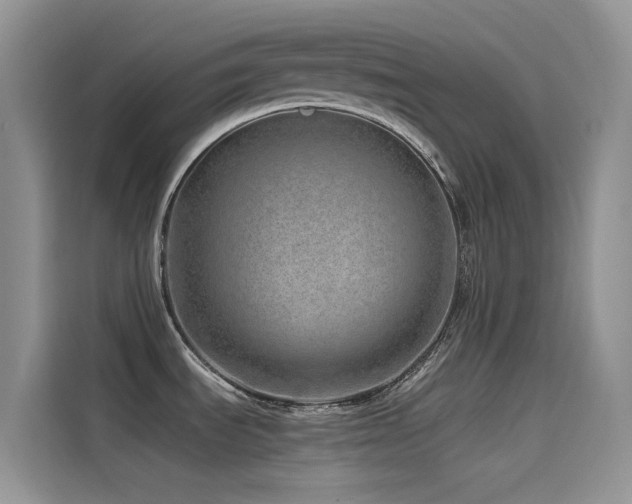 X0000114491535200910191221