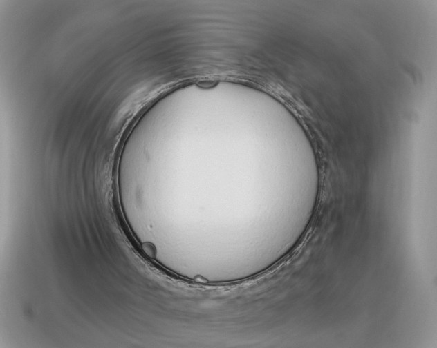 X0000114490002200911091058