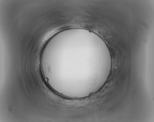 X0000114490005200911091058