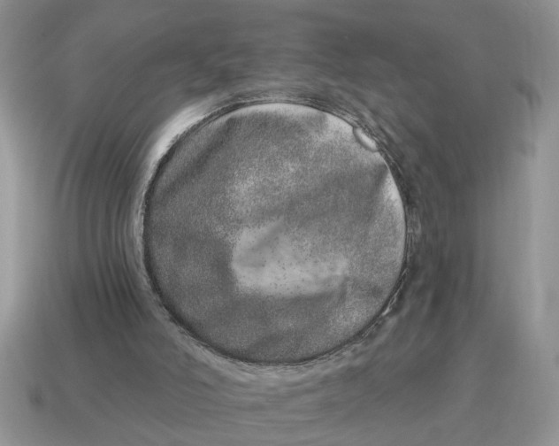X0000114490006200911091058