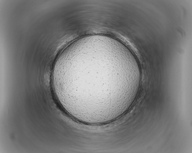 X0000114490010200911091058