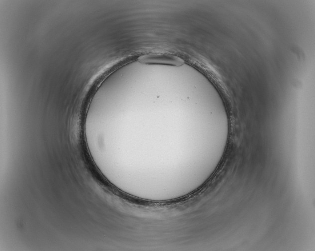 X0000114490012200911091058