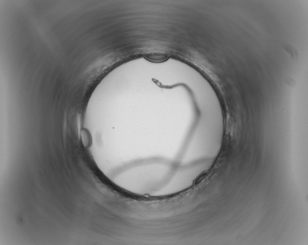X0000114490013200911091058