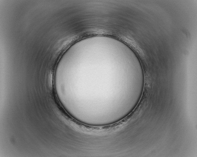 X0000114490014200911091058