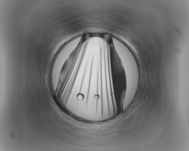 X0000114490015200911091058