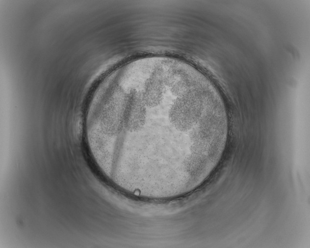 X0000114490016200911091058