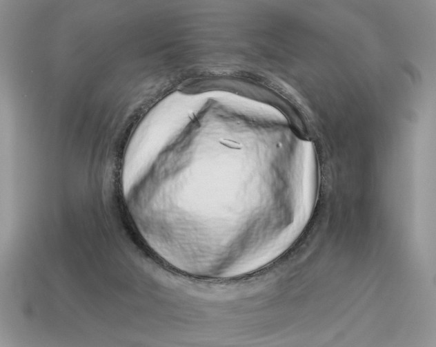 X0000114490018200911091058
