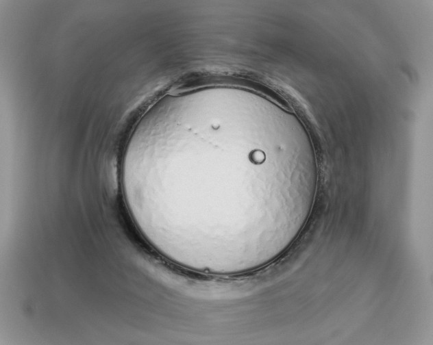 X0000114490020200911091058