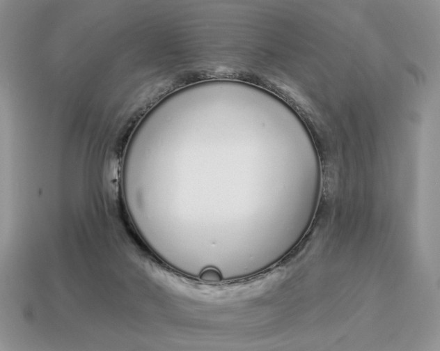 X0000114490022200911091058