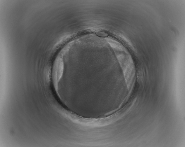 X0000114490023200911091058