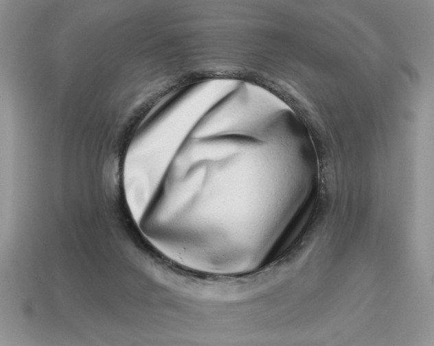 X0000114490024200911091058
