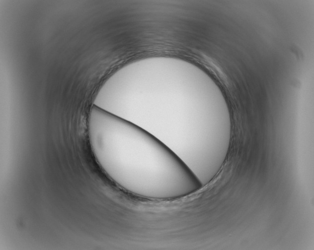 X0000114490025200911091058