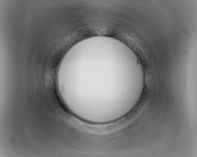 X0000114490030200911091058