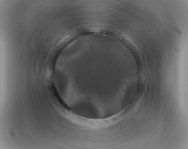 X0000114490031200911091058