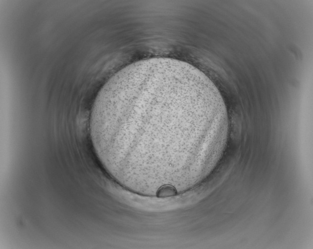 X0000114490034200911091058