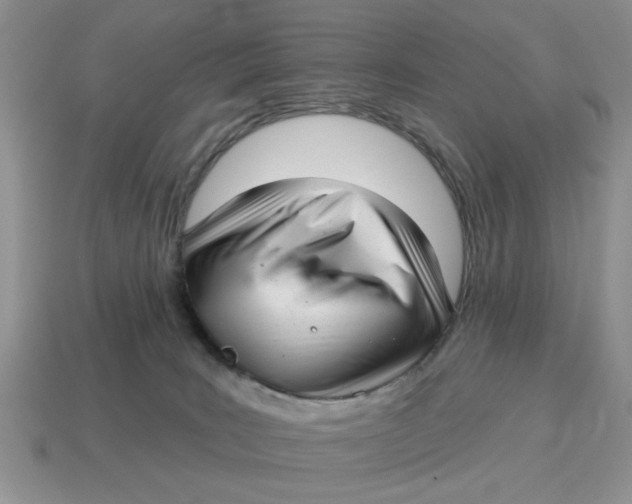 X0000114490035200911091058