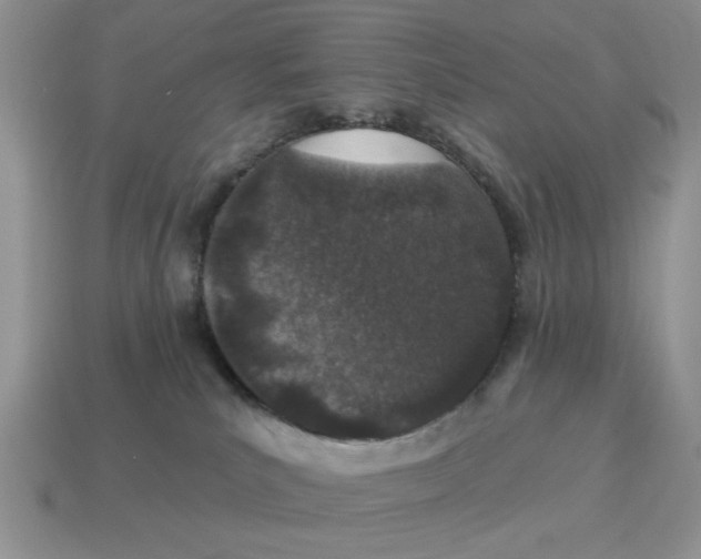 X0000114490039200911091058