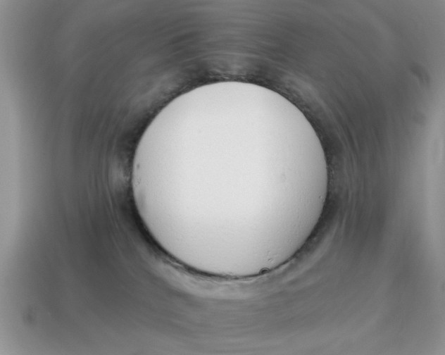 X0000114490040200911091058