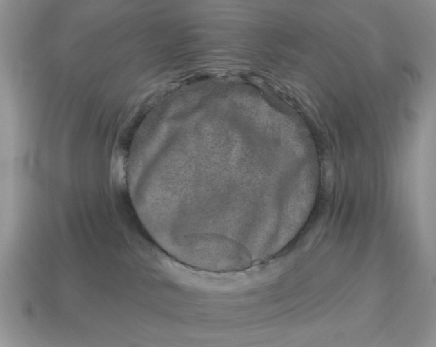 X0000114490042200911091058