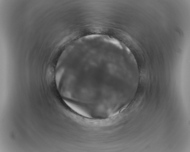 X0000114490043200911091058