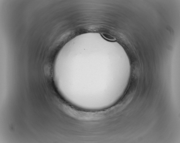 X0000114490044200911091058